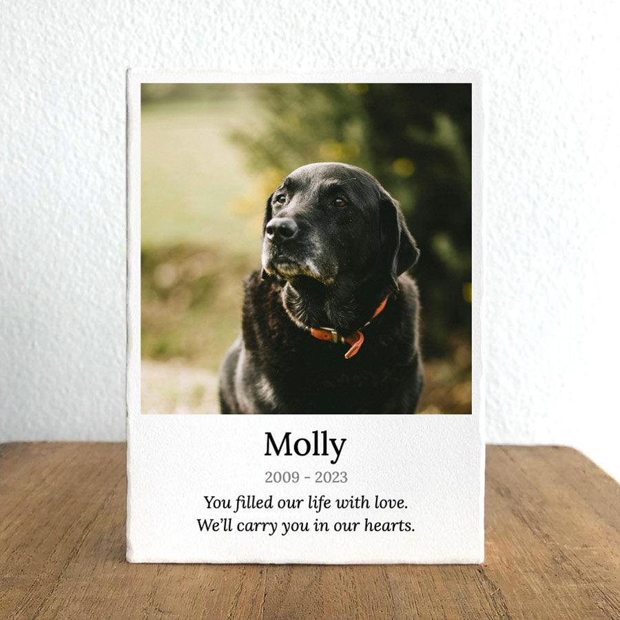 Pet Memorial Stone Print