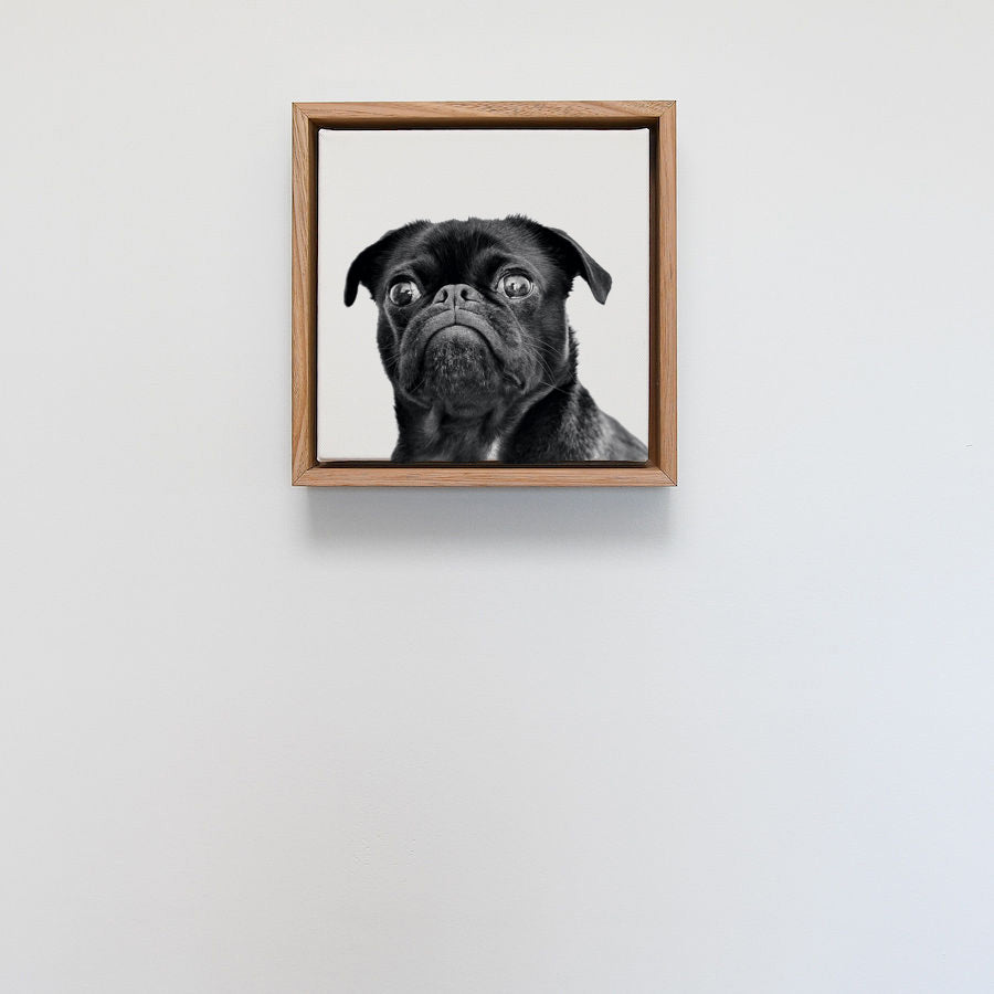 Tasmanian Oak Float Framed Print - Square 231 x 231mm