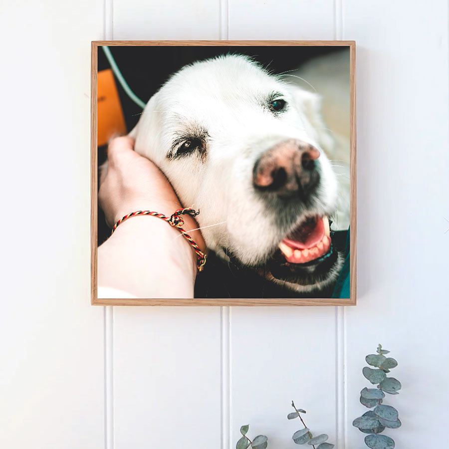 Square Tasmanian Oak Stone Print