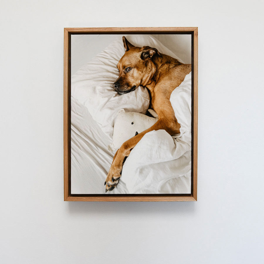 Blackwood Float Framed Print - Portrait 333 x 435mm
