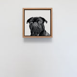 Tasmanian Oak Float Framed Print - Square 231 x 231mm