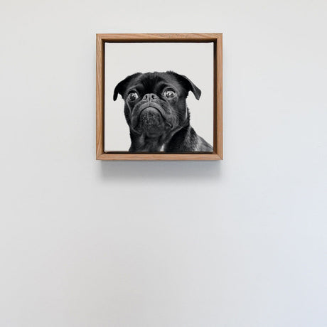 Tasmanian Oak Float Framed Print - Square 231 x 231mm